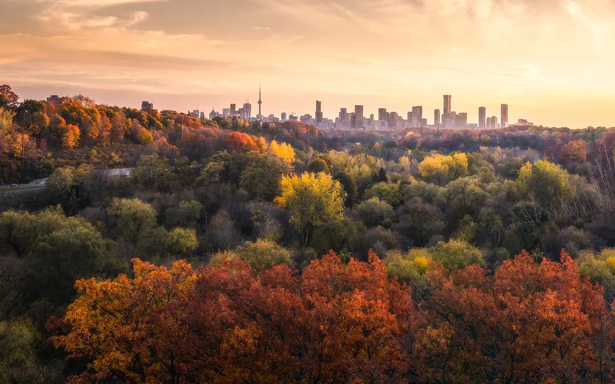 Toronto skyline in the fall 